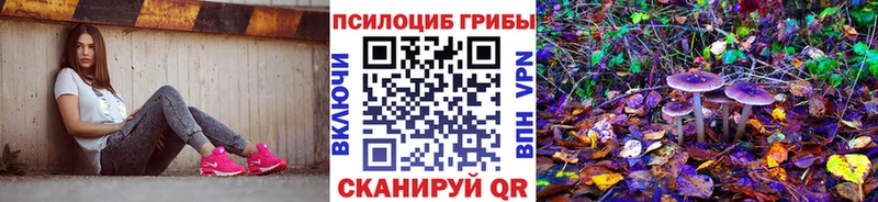 Галлюциногенные грибы прущие грибы  Белорецк 